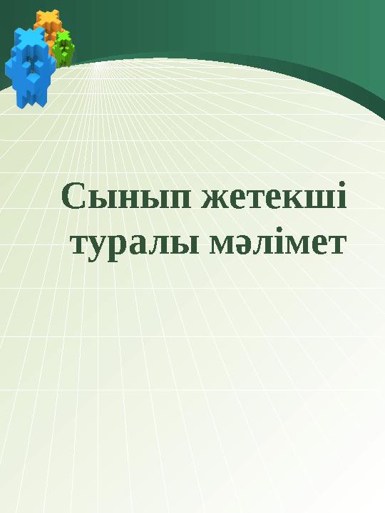 Сынып жетекші туралы мәлімет