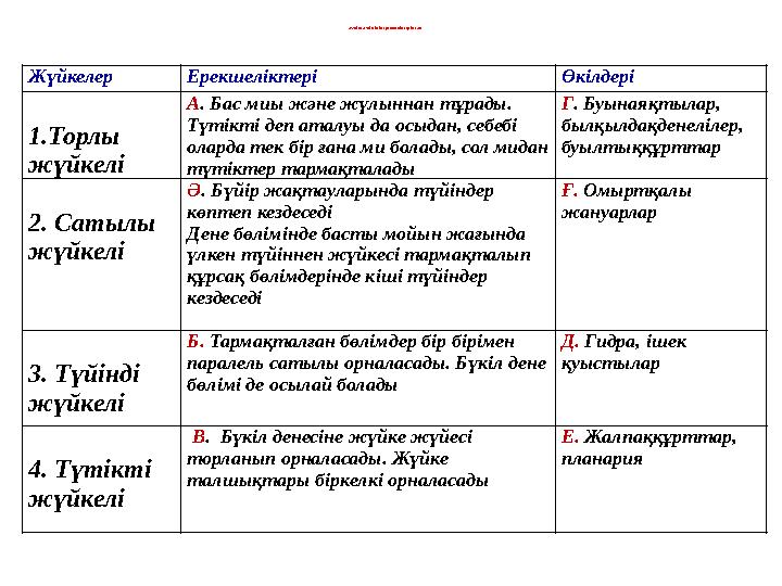 Жүйке жүйесінің ерекшеліктерін тап Жүйкелер Ерекшеліктері Өкілдері 1.Торлы жүйкелі А . Бас миы және жүлыннан тұрады. Түті