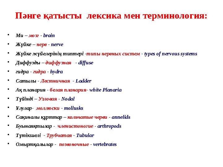 Пәнге қатысты лексика мен терминология: • Ми – мозг - brain • Жүйке – нерв - nerve • Жүйке жүйелерінің типтері - типы нер