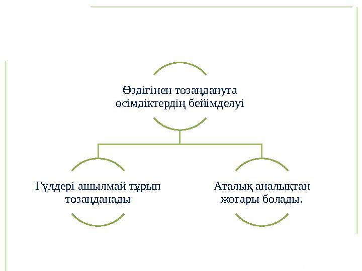 Өздігінен тозаңдануға өсімдіктердің бейімделуі Гүлдері ашылмай тұрып тозаңданады Аталық аналықтан жоғары болады.