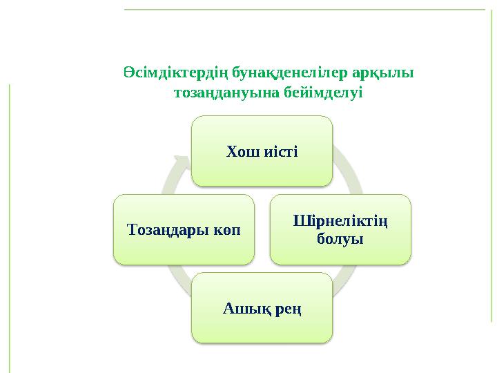 Өсімдіктердің бунақденелілер арқылы тозаңдануына бейімделуі Хош иісті Шірнеліктің болуы Ашық реңТозаңдары көп