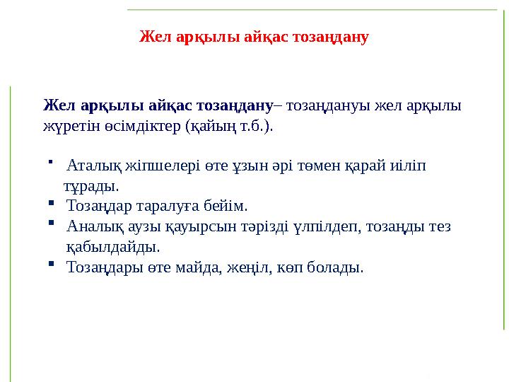 Жел арқылы айқас тозаңдану – тозаңдануы жел арқылы жүретін өсімдіктер (қайың т.б.). Жел арқылы айқас тозаңдану  Аталық жіпше