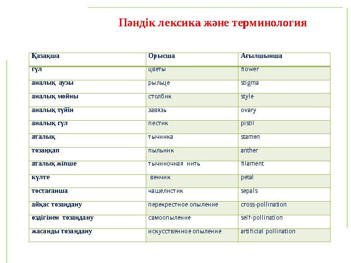 Қазақша Орысша Ағылшынша гүл цветы flower аналық аузы рыльце Stigma аналық мойны столбик Style аналық түйін завязь оva