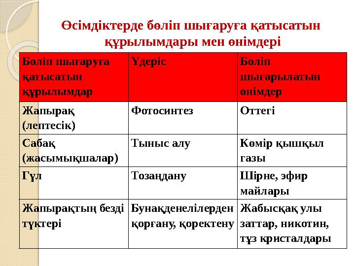 Өсімдіктерде бөліп шығаруға қатысатын құрылымдары мен өнімдері Бөліп шығаруға қатысатын құрылымдар Үдеріс Бөліп шығарылатын