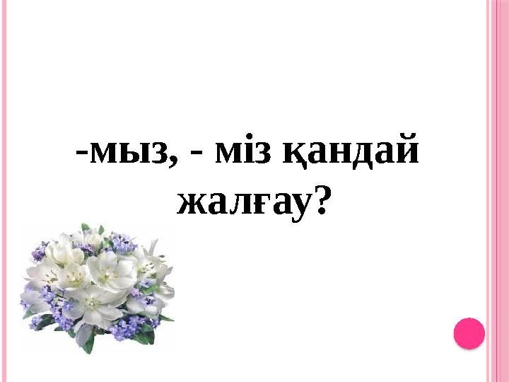 -мыз, - міз қандай жалғау?