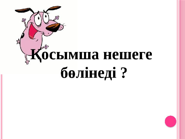 Қосымша нешеге бөлінеді ?