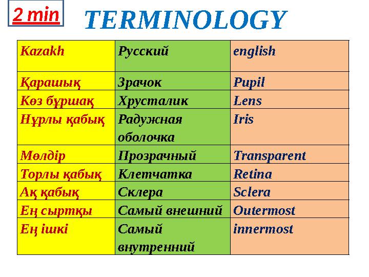 TERMINOLOGY Kazakh Русский english Қарашық Зрачок Pupil Көз бұршақ Хрусталик Lens Нұрлы қабық Радужная оболочка Iris Мөлдір П