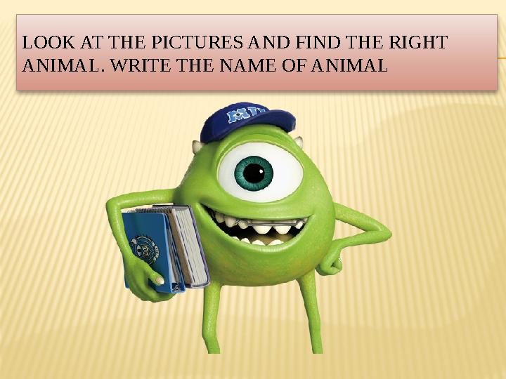 LOOK AT THE PICTURES AND FIND THE RIGHT ANIMAL. WRITE THE NAME OF ANIMAL