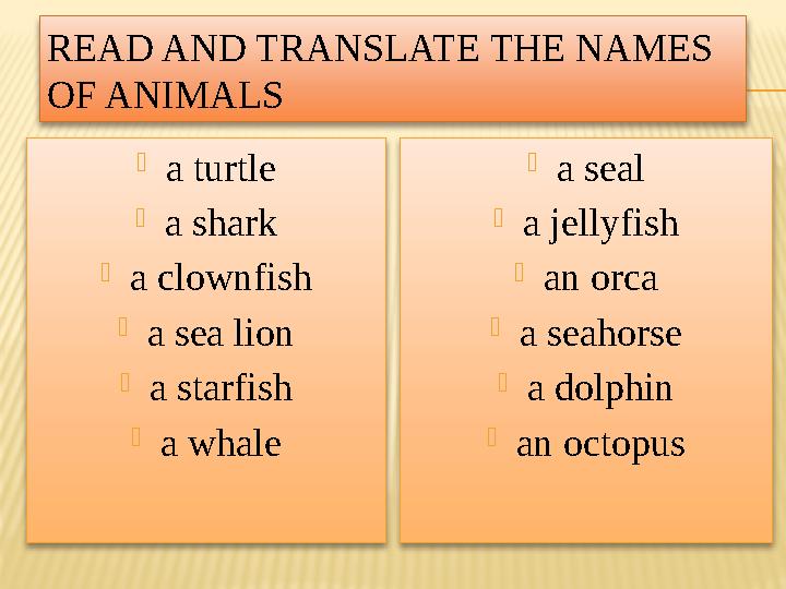 READ AND TRANSLATE THE NAMES OF ANIMALS  a turtle  a shark  a clownfish  a sea lion  a starfish  a whale  a seal  a jel