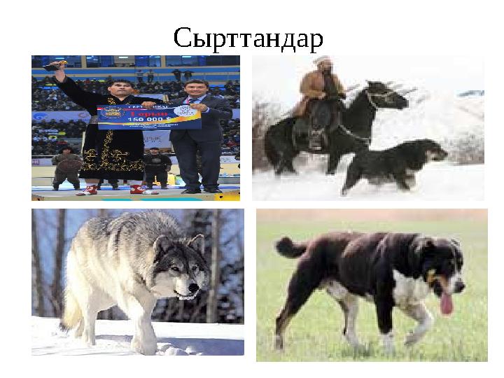 Сырттандар