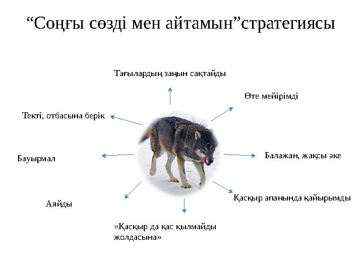 “ Соңғы сөзді мен айтамын”стратегиясы Тағылардың заңын сақтайды Өте мейірімді Балажан, жақсы әке Қасқыр апанында қайырымды