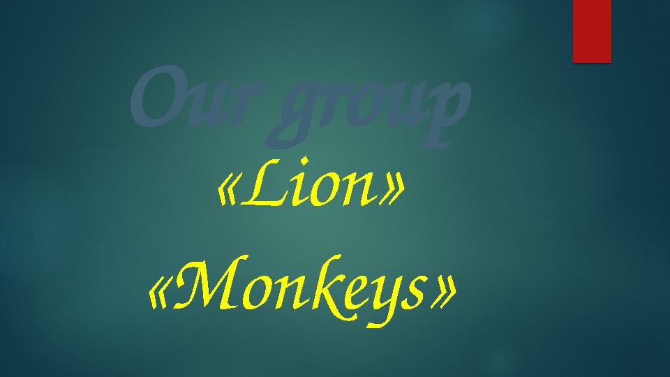 Our group «Lion» «Monkeys»