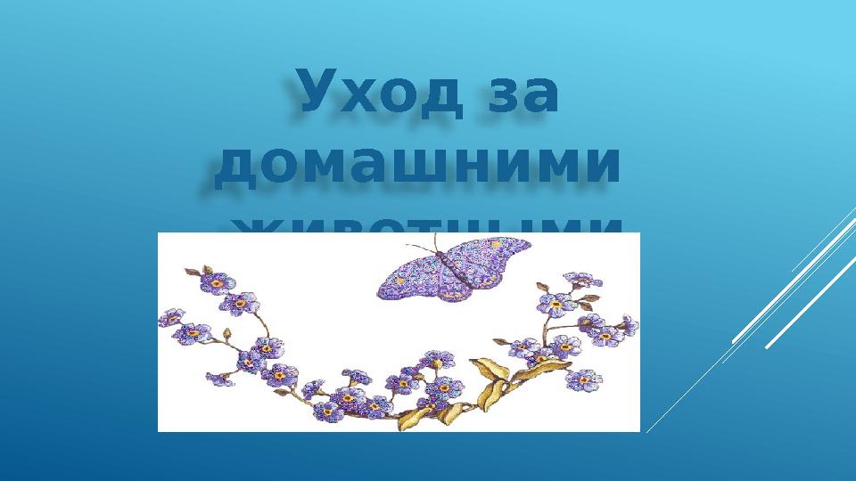 Уход за домашними животными весной