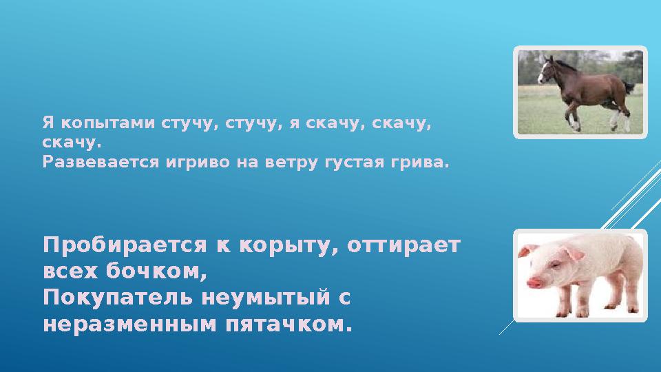 Я копытами стучу, стучу, я скачу, скачу, скачу. Развевается игриво на ветру густая грива. Пробирается к корыту, оттирает всех
