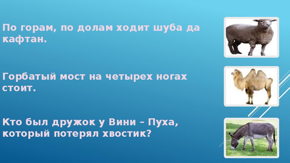 По горам, по долам ходит шуба да кафтан. Кто был дружок у Вини – Пуха, который потерял хвостик?Горбатый мост на четырех ногах