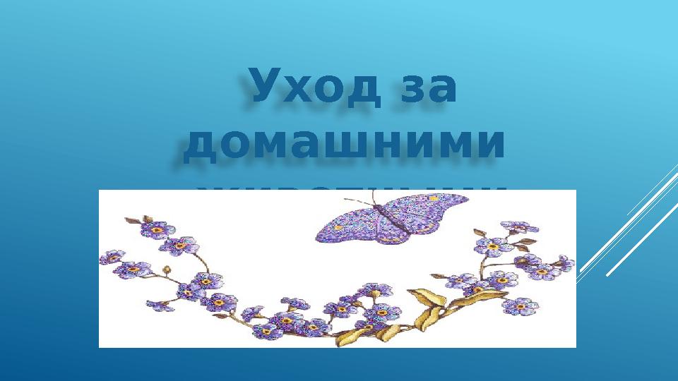 Уход за домашними животными весной