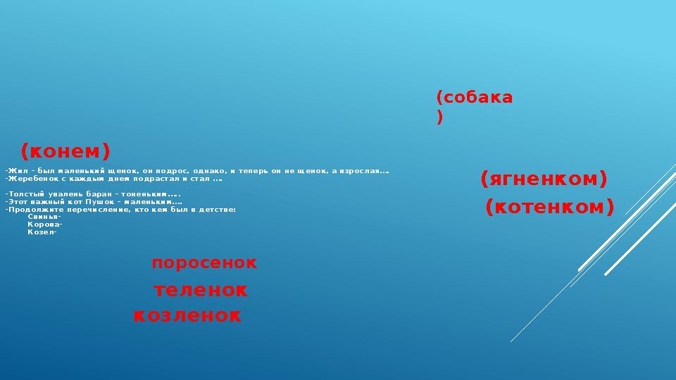 -Ж ил – был маленький щ енок, он подрос, одна ко, и теперь он не щ енок, а в зрослая…. -Ж еребенок с каждым
