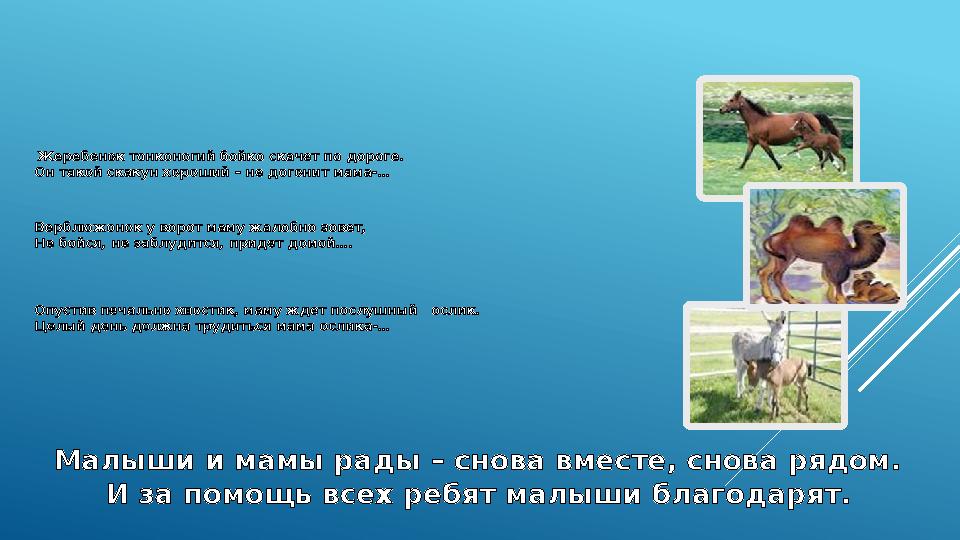 Жеребенок тонконогий бойко скачет по дороге. Он такой скакун хороший – не догонит мама-… Верблюжонок у ворот