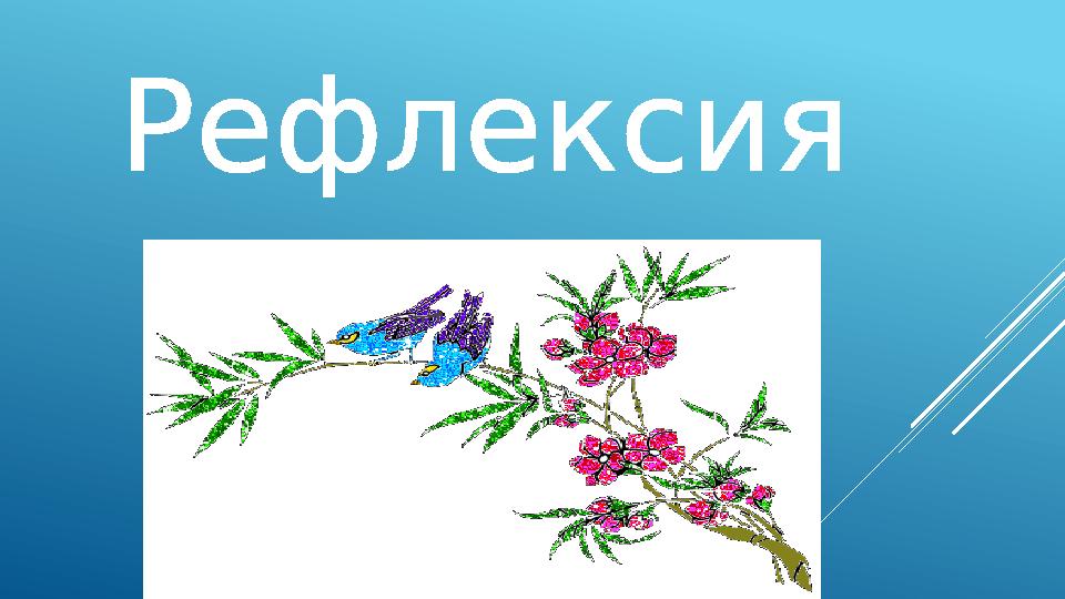 Рефлексия