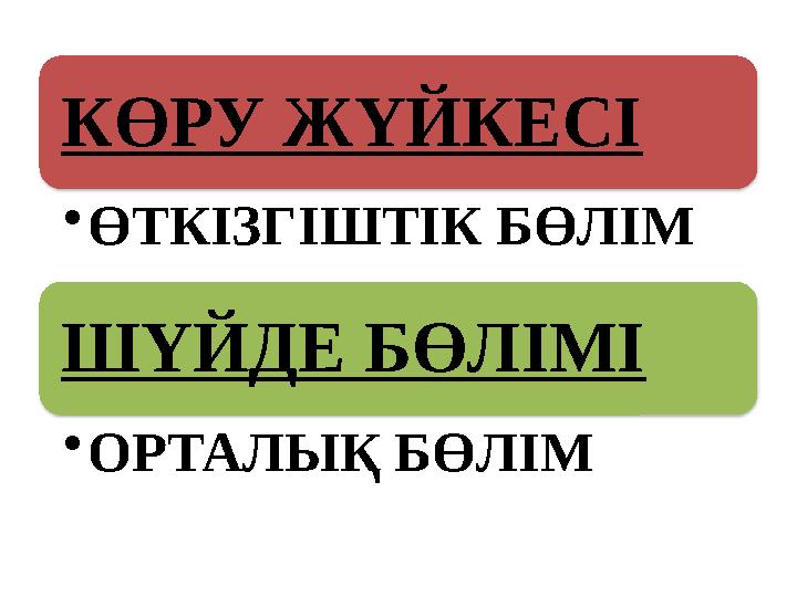 КӨРУ ЖҮЙКЕСІ • ӨТКІЗГІШТІК БӨЛІМ ШҮЙДЕ БӨЛІМІ • ОРТАЛЫҚ БӨЛІМ