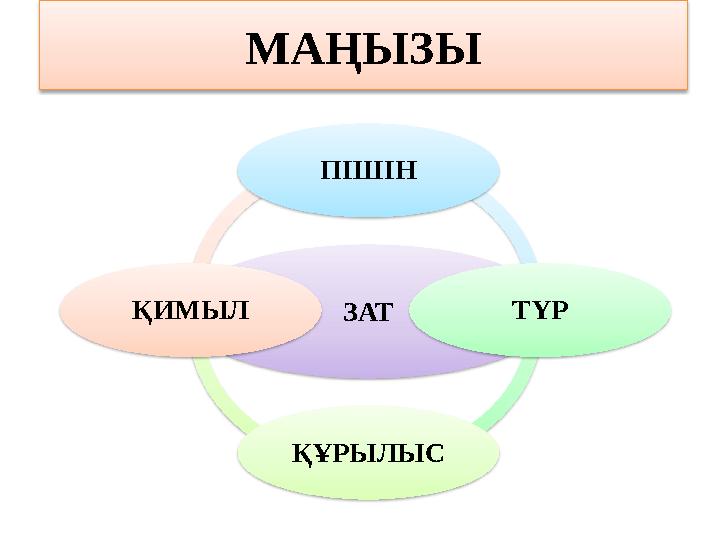 МАҢЫЗЫ ЗАТПІШІН ТҮР ҚҰРЫЛЫСҚИМЫЛ