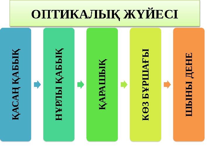ОПТИКАЛЫҚ ЖҮЙЕСІҚ А С А Ң Қ А Б Ы Қ Н Ұ Р Л Ы Қ А Б Ы Қ Қ А Р А Ш Ы Қ К Ө З Б Ұ Р Ш А Ғ Ы Ш Ы Н Ы Д Е Н Е