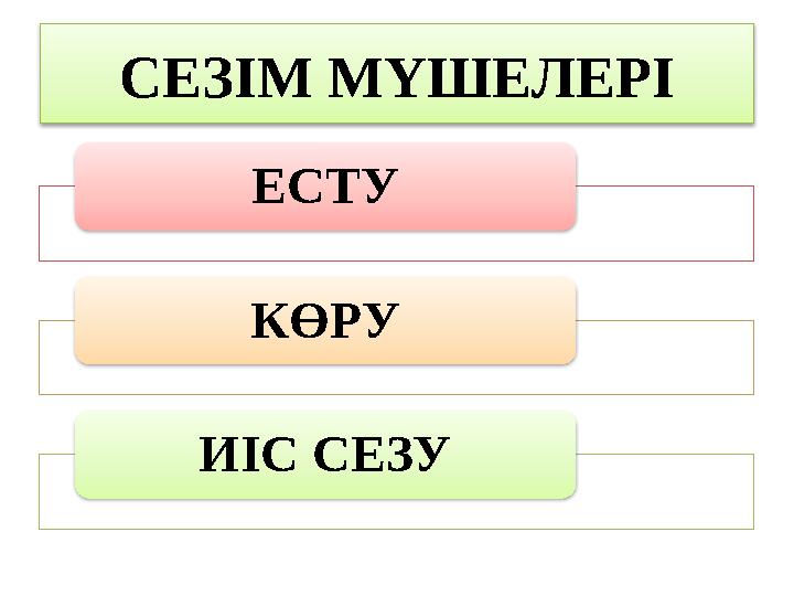 СЕЗІМ МҮШЕЛЕРІ ЕСТУ КӨРУ ИІС СЕЗУ