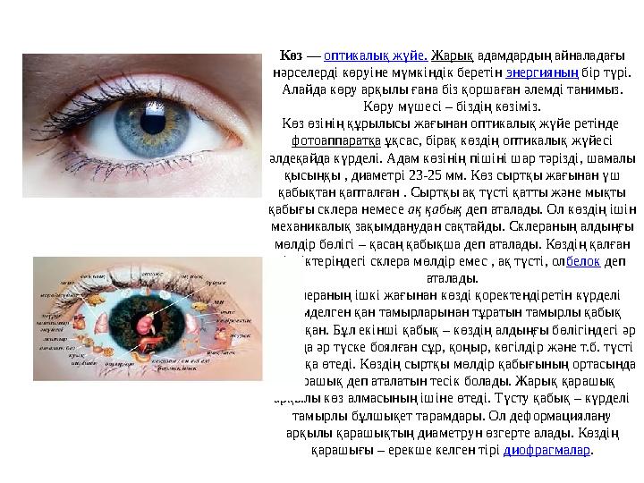 Көз — оптикалық жүйе. Жарық адамдардың айналадағы нәрселерді көруіне мүмкіндік беретін энергияның бір түрі. Алайда көру