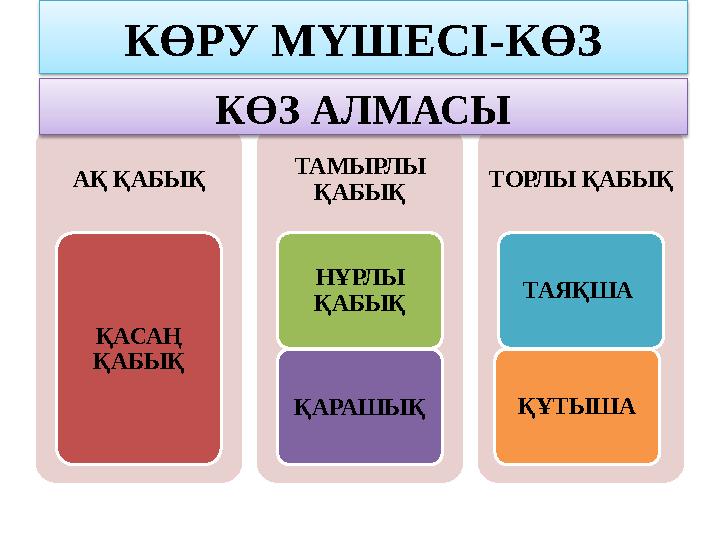 КӨРУ МҮШЕСІ-КӨЗ АҚ ҚАБЫҚ ҚАСАҢ ҚАБЫҚ ТАМЫРЛЫ ҚАБЫҚ НҰРЛЫ ҚАБЫҚ ҚАРАШЫҚ ТОРЛЫ ҚАБЫҚ ТАЯҚША ҚҰТЫШАКӨЗ АЛМАСЫ