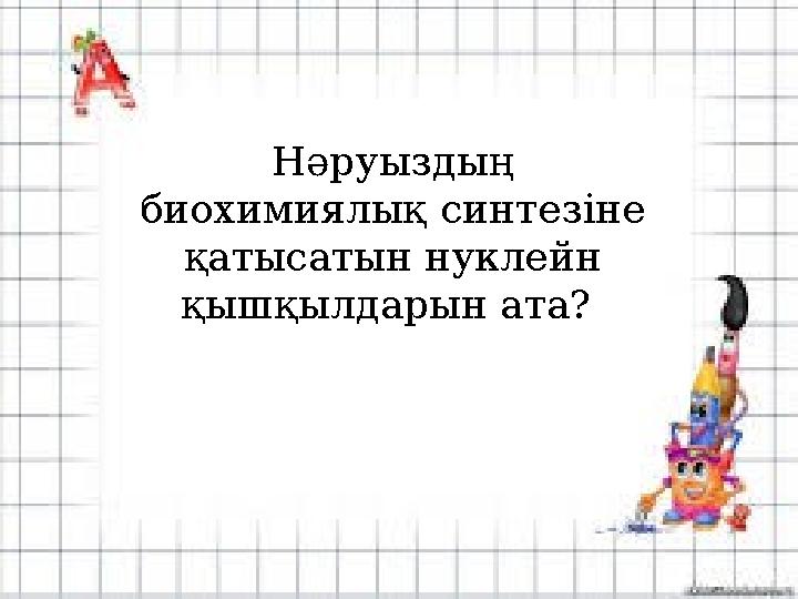 Нәруыздың биохимиялық синтезіне қатысатын нуклейн қышқылдарын ата?