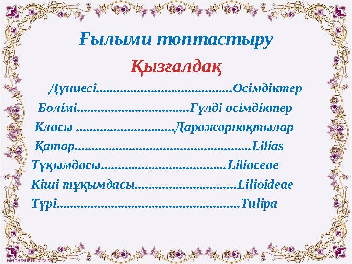 Ғылыми топтастыру Қызғалдақ Дүниесі........................................Өсімдіктер Бөлімі...............................