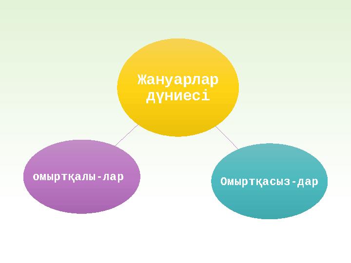 Жануарлар дүниесі Омыртқасыз-даромыртқалы-лар