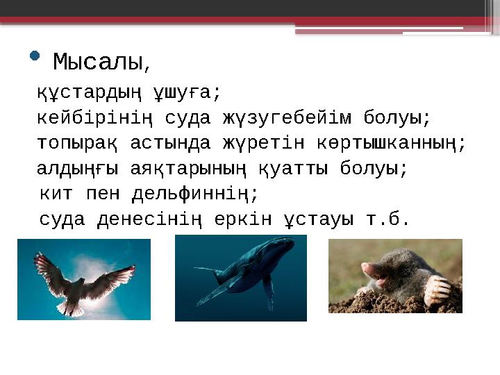 • Мысалы , құстардың ұшуға; кейбірінің суда жүзугебейім болуы; топырақ астында жүретін көртышканның; алдыңғы аяқтарын