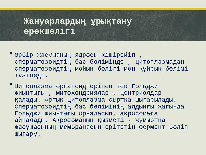 Жануарлардың ұрықтану ерекшелігі  Әрбір жасушаның ядросы кішірейіп , сперматозоидтің бас бөлімінде , цитоплазмадан сперматоз