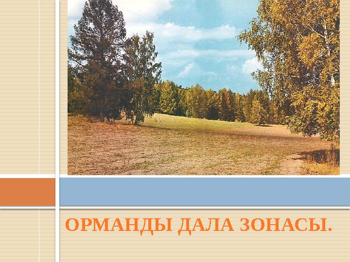 ОРМАНДЫ ДАЛА ЗОНАСЫ.