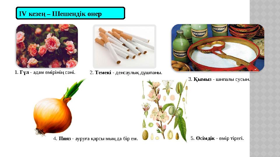 І V кезең – Шешендік өнер 1. Гүл - адам өмірінің сәні. 2. Темекі - денсаулық дұшпаны. 3. Қымыз - шипалы сусын. 4. Пияз