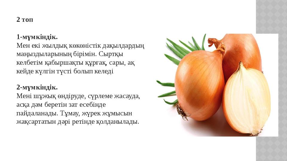 2 топ 1-мүмкіндік. Мен екі жылдық көкөністік дақылдардың маңыздыларының бірімін. Сыртқы келбетім қабыршақты құрғақ, сары, ақ