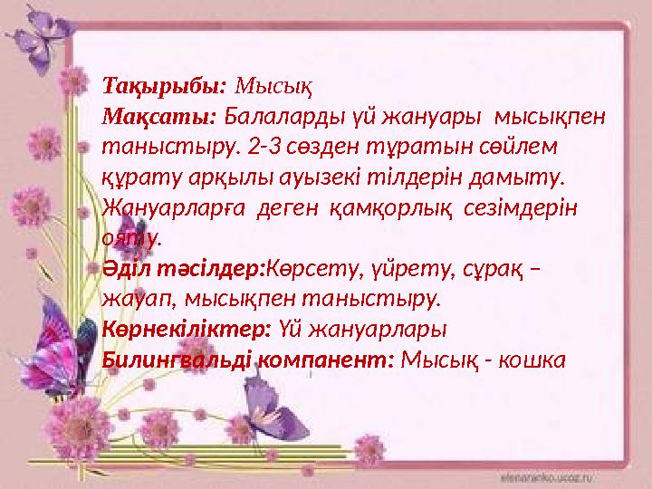 Олар бір-бірінің қынаптарына әртүрлі заттарды салады (порно видео)