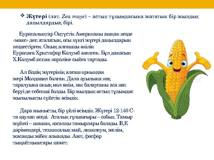 Ит стиліндегі желатиннің суреті Сперманы пизда порносына құйыңыз