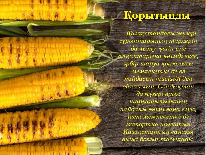 Орысша аудармасы бар топтық секс видео Ол оның көйлегін көтеріп, төсекке жатқызды.