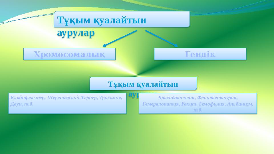 Тұқым қуалайтын аурулар Хромосомалық Гендік Тұқым қуалайтын аурулар Клайнфельтер, Шерешевский-Тернер, Трисомия, Даун, т.б. Бр