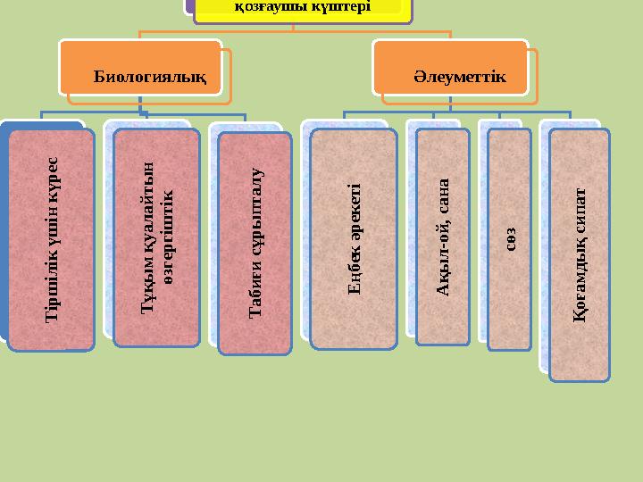 Адам эволюциясының қозғаушы күштері БиологиялықТ ір ш іл ік ү ш ін к ү р ес Т ұ қ ы м қ уа л а й ты н ө згер гіш тік Т