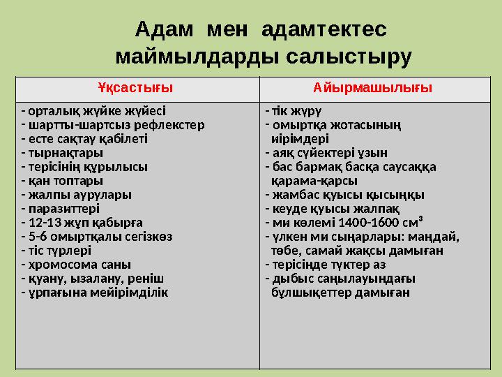 Адам мен адамтектес маймылдарды салыстыру Ұқсастығы Айырмашылығы - орталық жүйке жүйесі - шартты-шартсыз рефлекстер -