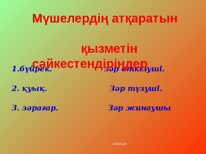 1.бүйрек. зәр өткізуші. 2. қуық. Зәр түзуші.