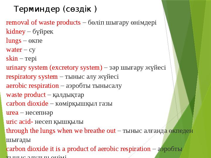 Терминдер (сөздік ) removal of waste products – бөліп шығару өнімдері kidney – бүйрек lungs – өкпе water – су skin – тері u