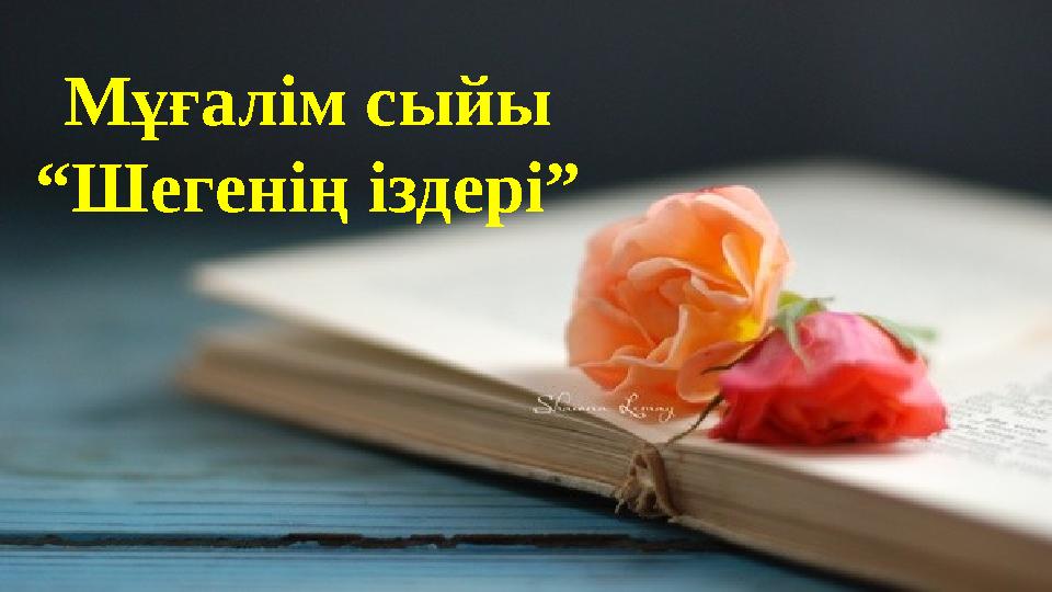 Мұғалім сыйы “ Шегенің іздері”