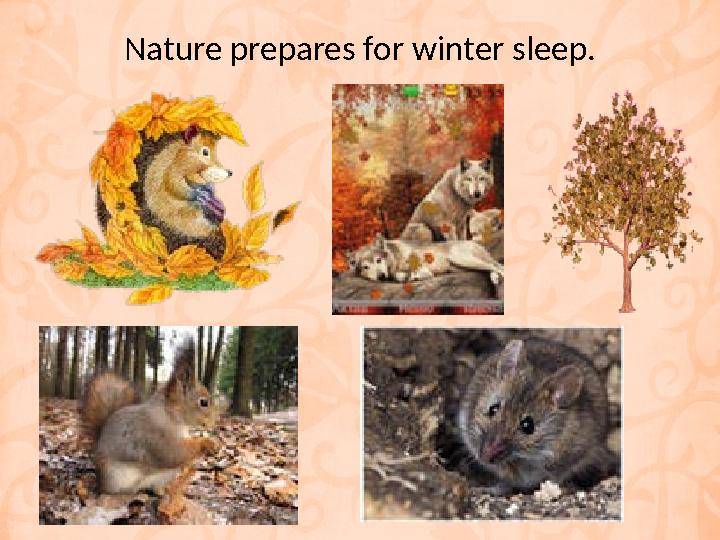 Nature prepares for winter sleep.