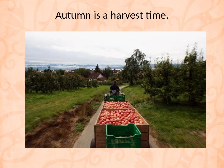 Autumn is a harvest time.