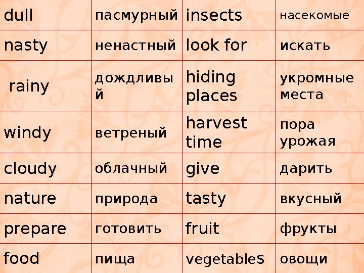 dull пасмурный insects насекомые nasty ненастный look for искать rainy дождливы й hiding places укромные места windy ветрен