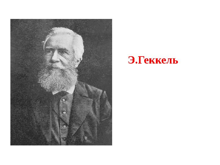 Э.Геккель